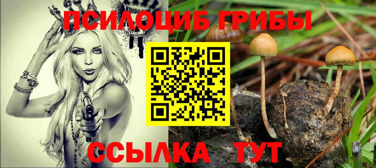 Псилоцибиновые грибы мухоморы  Вход с VPN  где купить наркоту  Сланцы 