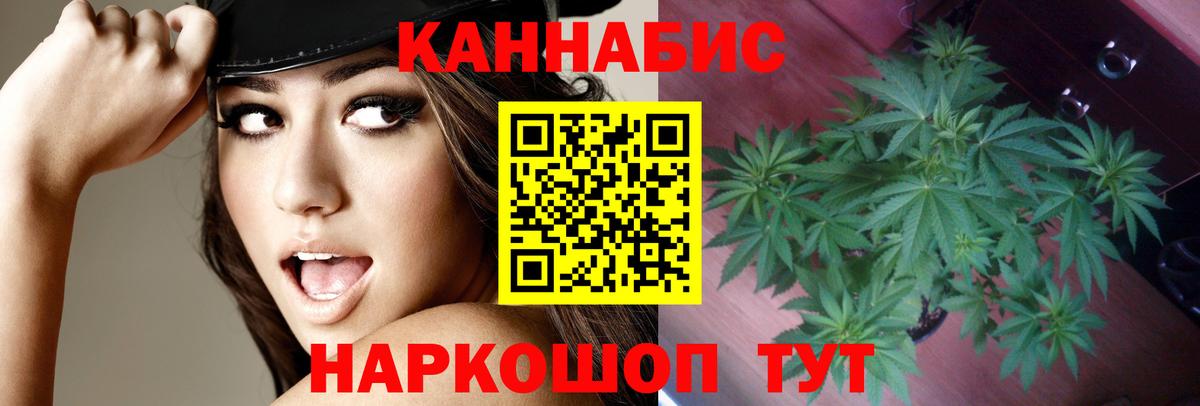 Канабис AK-47  Канабис план  Вход с VPN  Сланцы  Бошки Шишки гибрид 